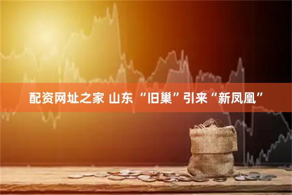配资网址之家 山东 “旧巢”引来“新凤凰”