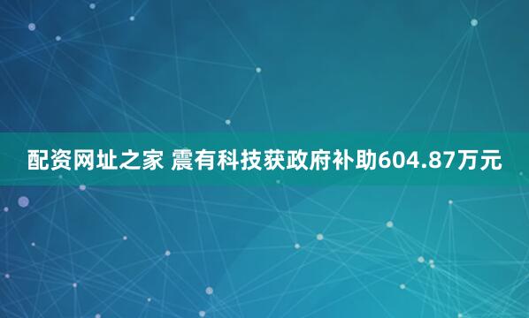 配资网址之家 震有科技获政府补助604.87万元
