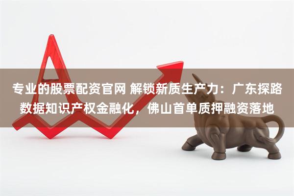 专业的股票配资官网 解锁新质生产力：广东探路数据知识产权金融化，佛山首单质押融资落地